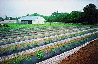 farm-maryland